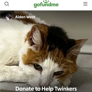 Posting for a family friend 
cat in need of help